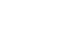 Spartan Tax Group